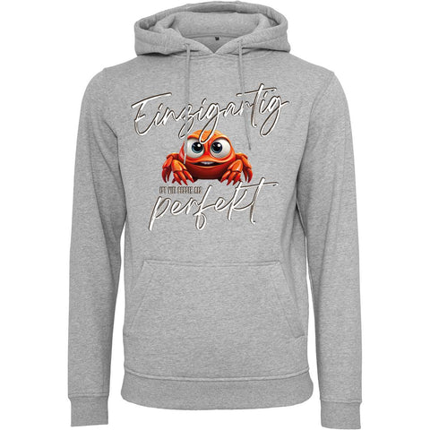 Besser als perfekt UNISEX Prem. Kapuzenpulli