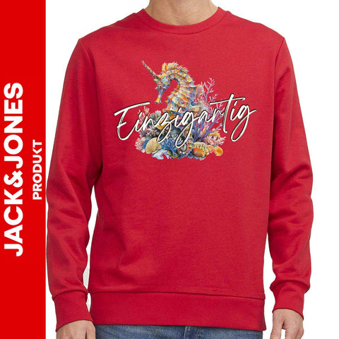 Einzigartig UNISEX Pulli by Jack&Jones